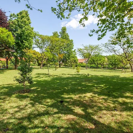 Casa Do Monte - Minho's Guest Holiday home