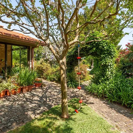 Casa Do Monte - Minho's Guest Holiday home