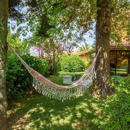 Casa Do Monte - Minho's Guest Holiday home *